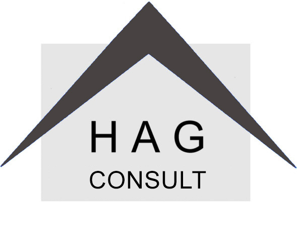 HAG Crosslink - LOGO HAG CONSULT